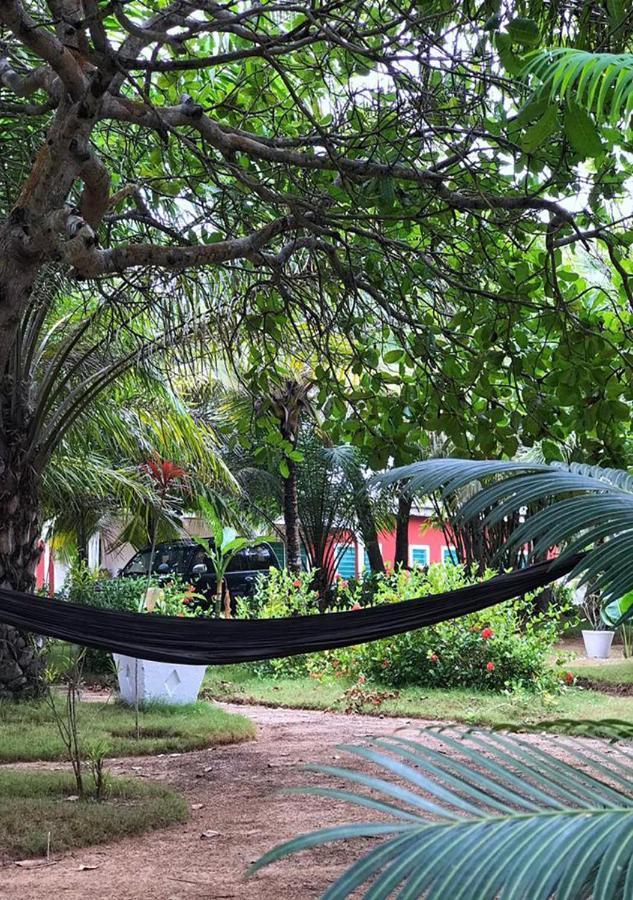 Twitter Paradise Ampeni Esterno foto